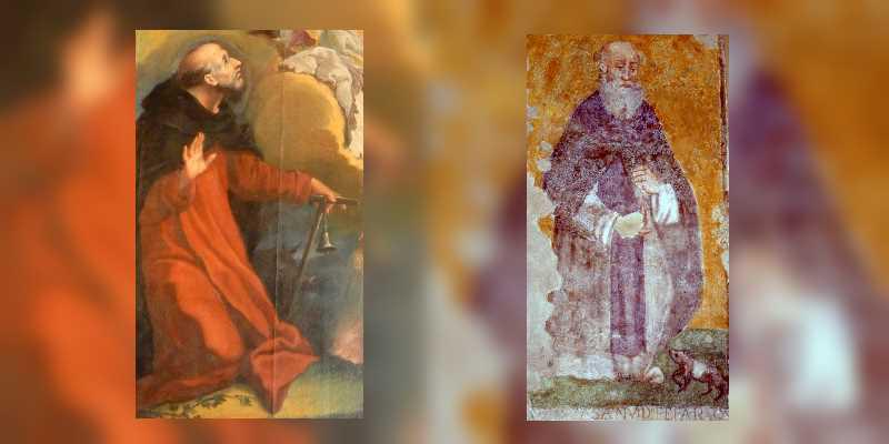 Immagine per Sant'Antonio 'di Gennaro'. La festa di Sant'Antonio Abate nel Friuli Orientale